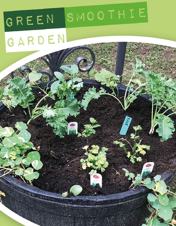 green smoothie garden