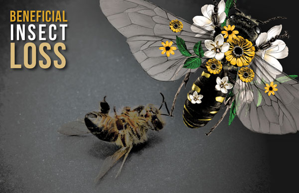 beneficial insect