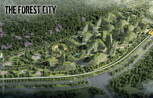 The Forest city