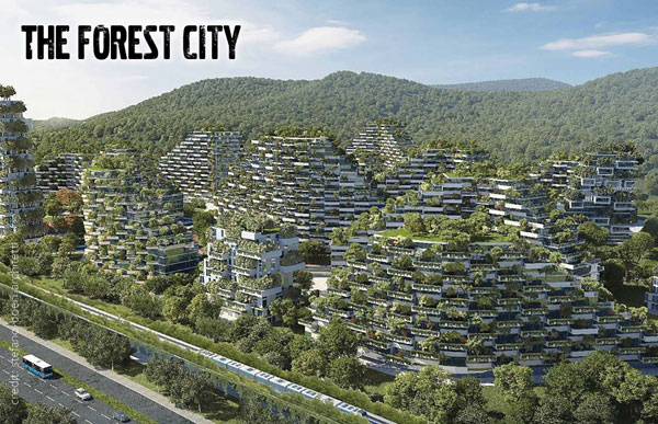 The Forest city