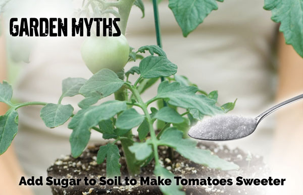 garden myths