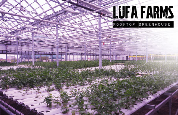 Lufa Farms