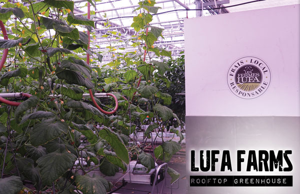 Lufa Farms