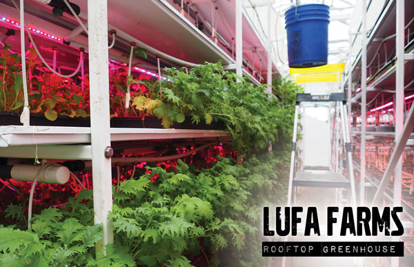 Lufa Farms