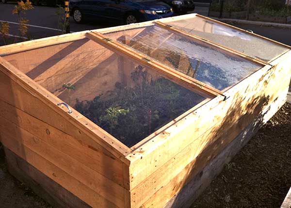 Cold Frame 