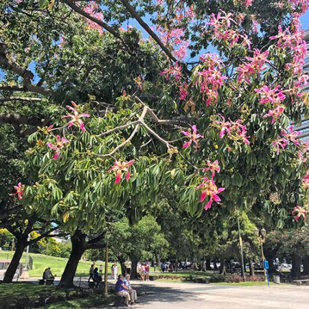 Buenos Aires-Summer