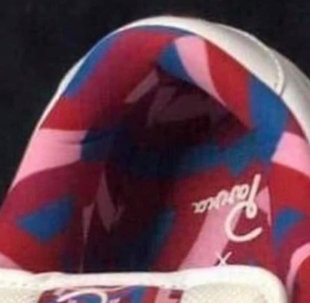 Parra x Nike SB Dunk Low (Insole)