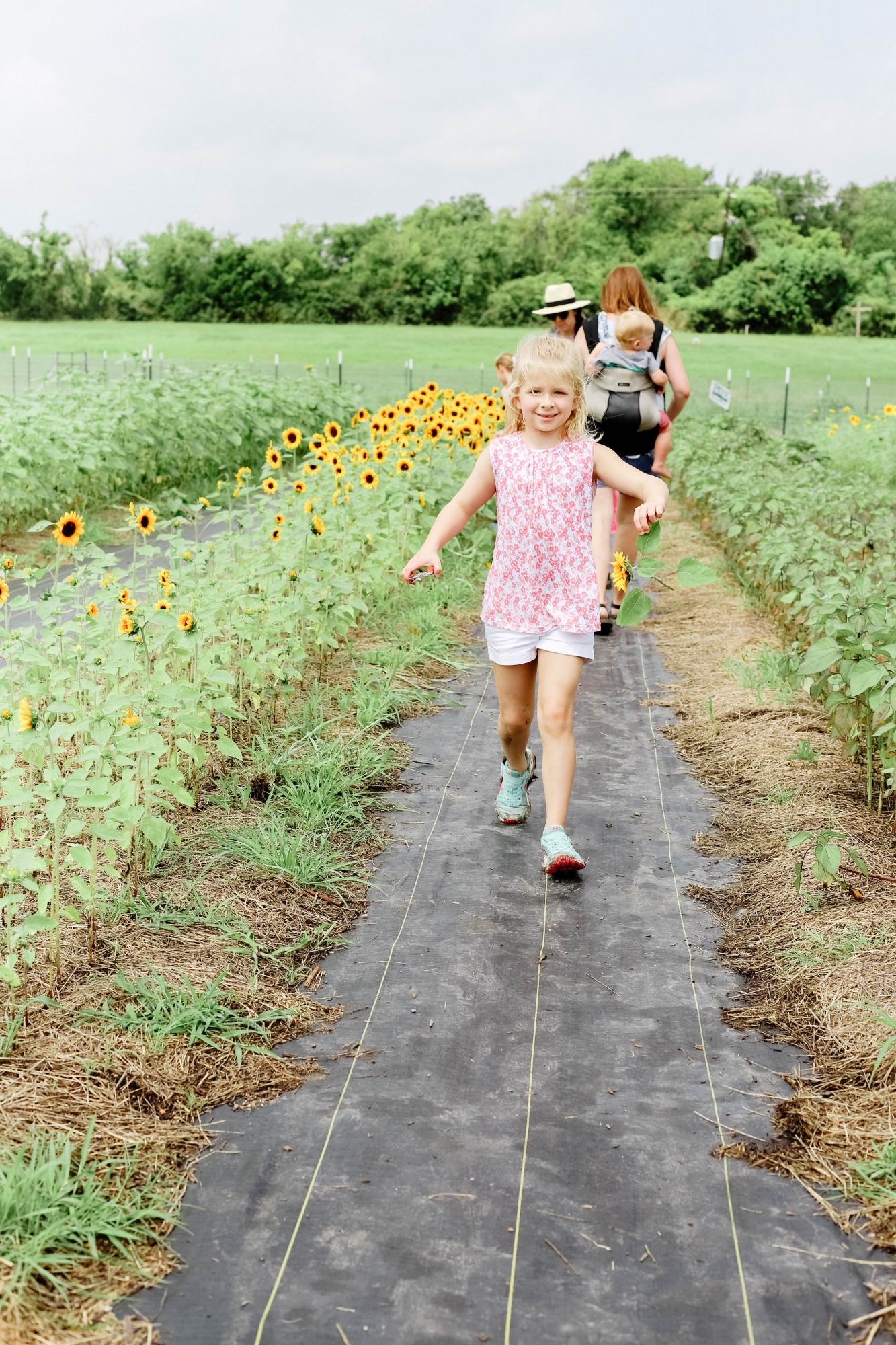 mars hill farm