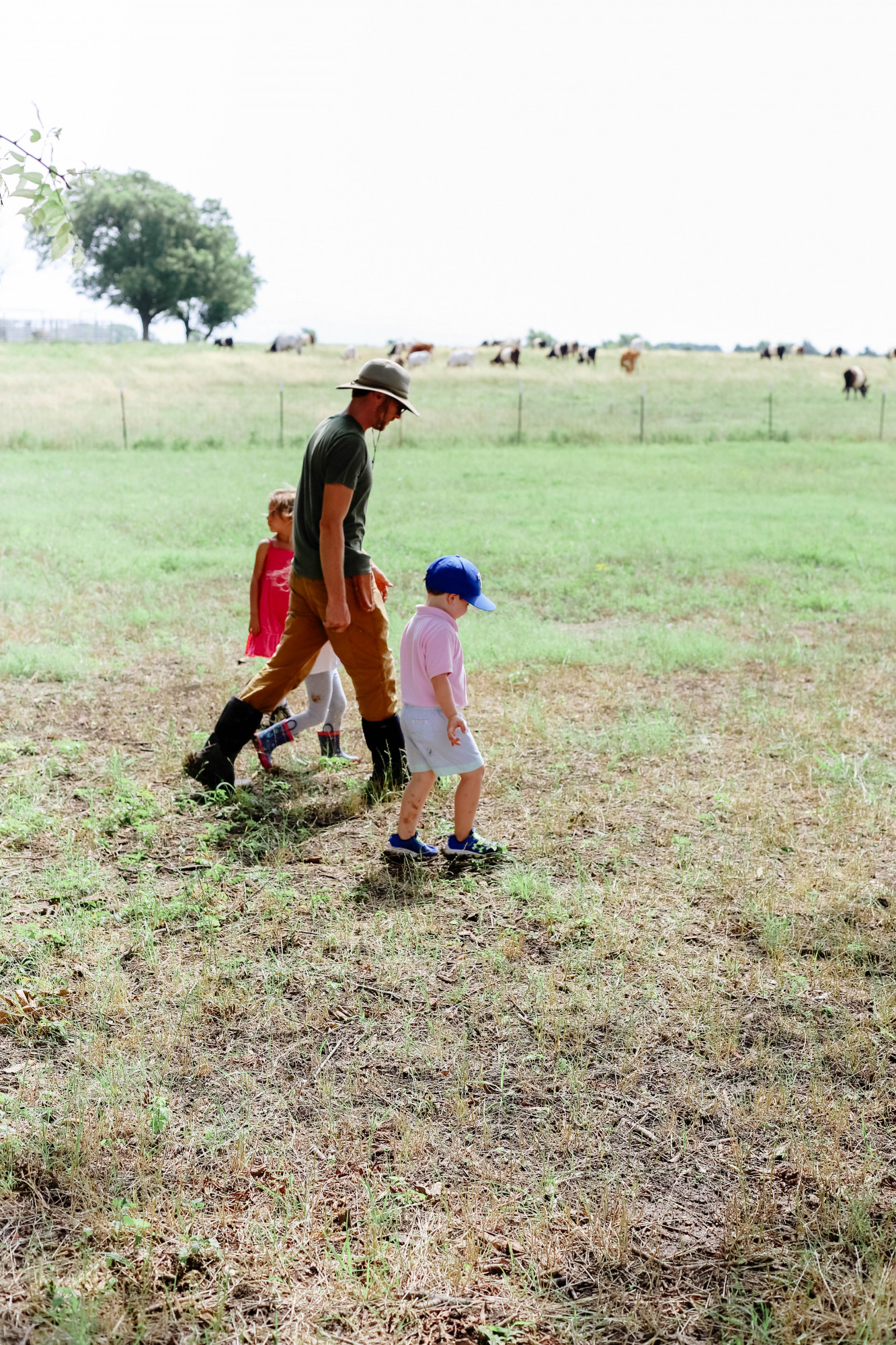 mars hill farm