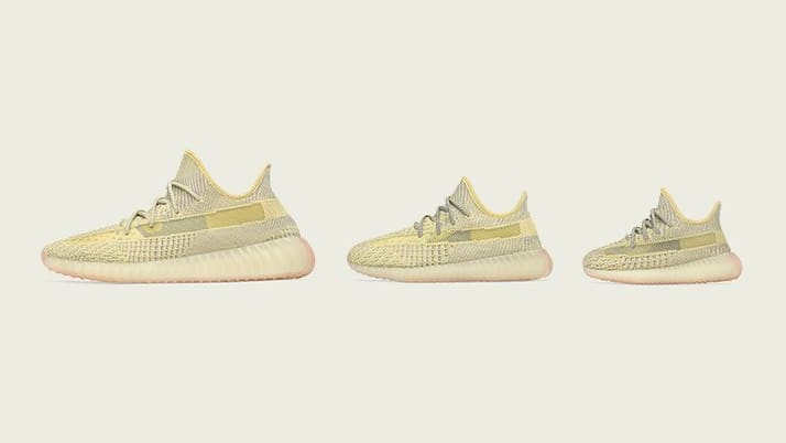 Adidas Yeezy Boost 350 V2 'Antlia' (Left)