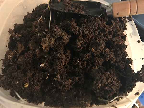 Best compost