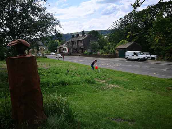 Planting wildflowers