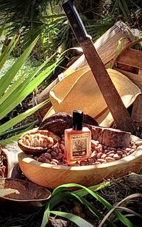 Solstice Scents Estate Cocoa Angela St John