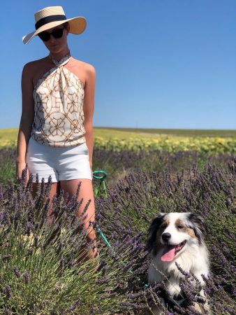 With Luna at the Lavender Harvest, Valensole, France