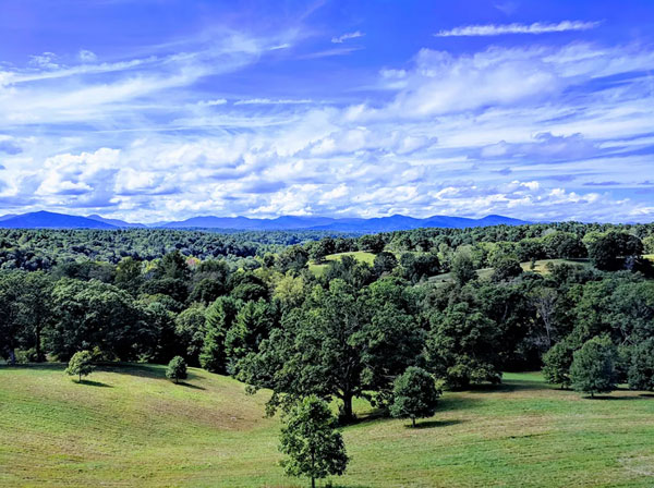 Biltmore Garden