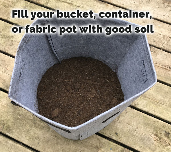 fill bucket with soil