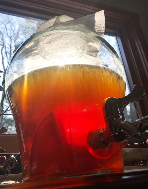 Kombucha