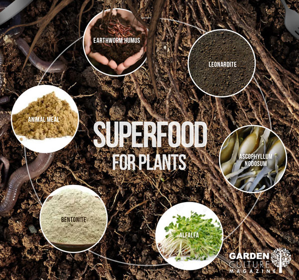 Superfood for plants