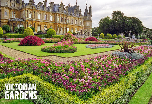 Victorian Garden Flowers