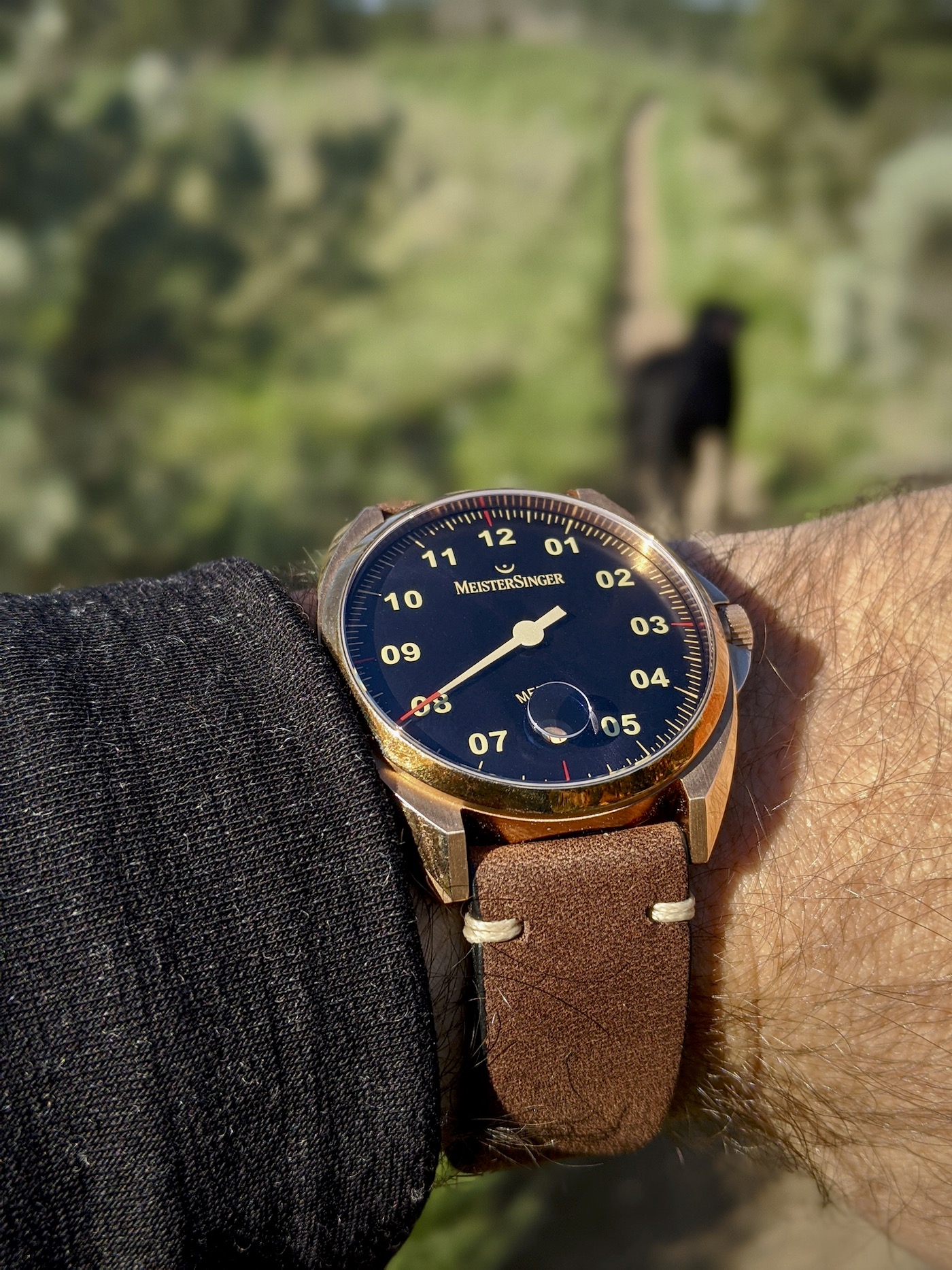 MeisterSinger Metris Bronze Watch Review Wrist Time Reviews 