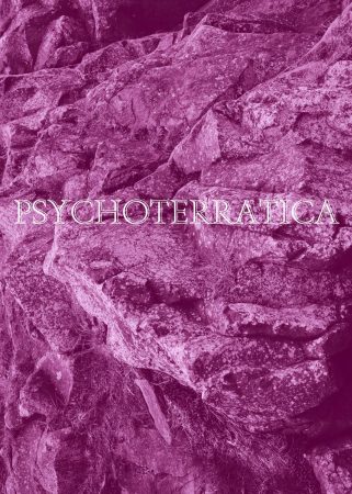 Jorum Studio Psychoterratica  2020 collaborative project