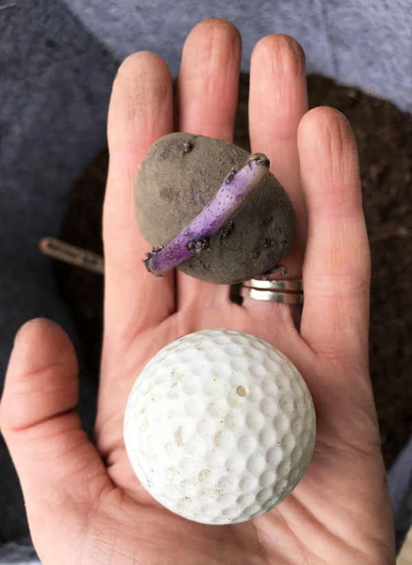 Golf ball