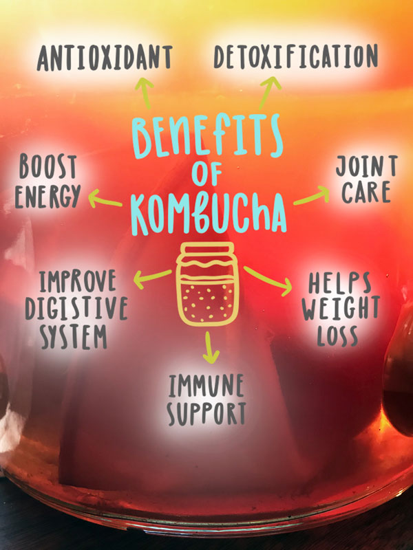 Kombucha