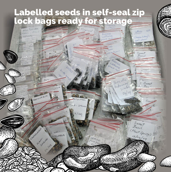 seed saving