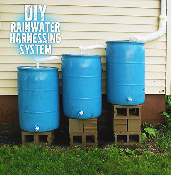 DIY Rainwater collecting system